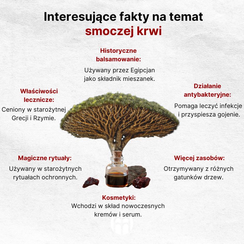 (Polština) Zajímavosti o dračí krvi